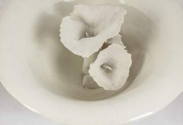 Contemporary Bone Porcelain Bowl with Sculpted Calla Lilies