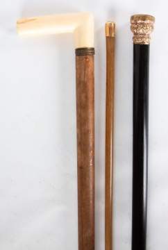 Three 19th Century Canes