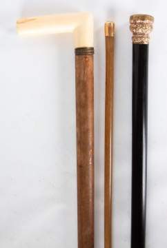Three 19th Century Canes