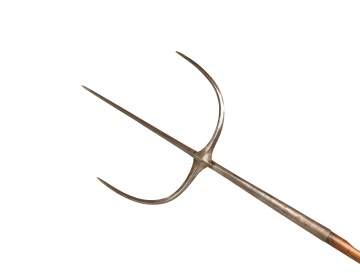 Early Chinese Tiger Spear