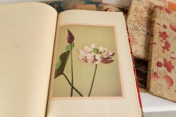 10 Volumes of Japanese Books with Photos