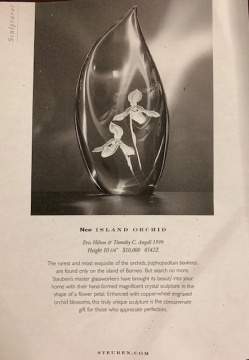 Steuben "Island Orchid"