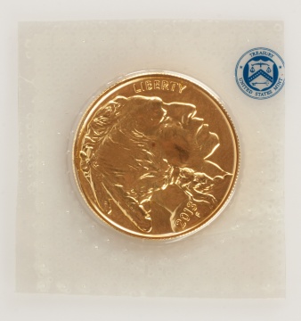 (2) US American Buffalo 2013 One Ounce Gold Coins