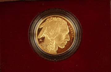 (2) US American Buffalo 2010 One Ounce Gold Proof Coins