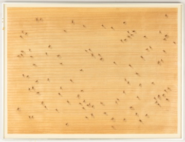Ed Ruscha (American, b. 1937) "Cockroaches" (from Insects Portfolio)