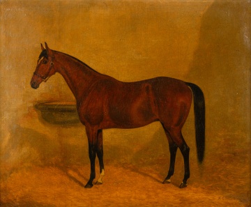 F. C. Clifton (English/American, 19th century) Horse, Lucille