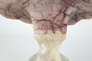 Gustave van Vaerenbergh (Belgian, 1873-1927) Alabaster & Marble Sculpture