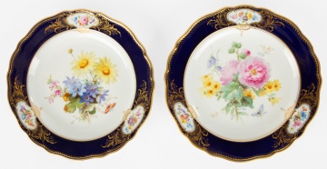 (7) Meissen Hand Painted Porcelain Plates and Royal Worcester Hand Painted Plates