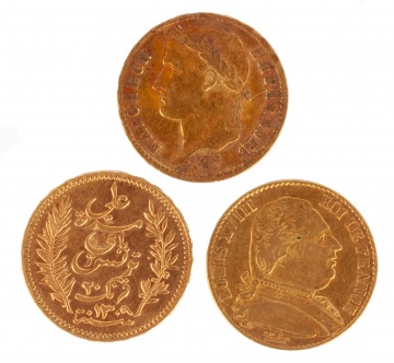 20 Francs Gold Coins