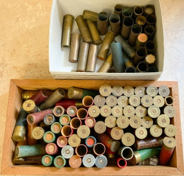 Group of Paper and Brass Shotgun Shells