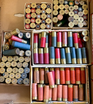 Group of Paper and Brass Shotgun Shells