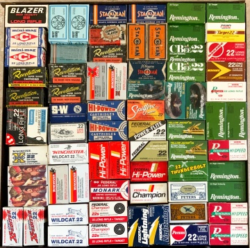 Group of 22 Rimfire Cartridges in Boxes (Modern)