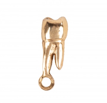 14K Gold Tooth