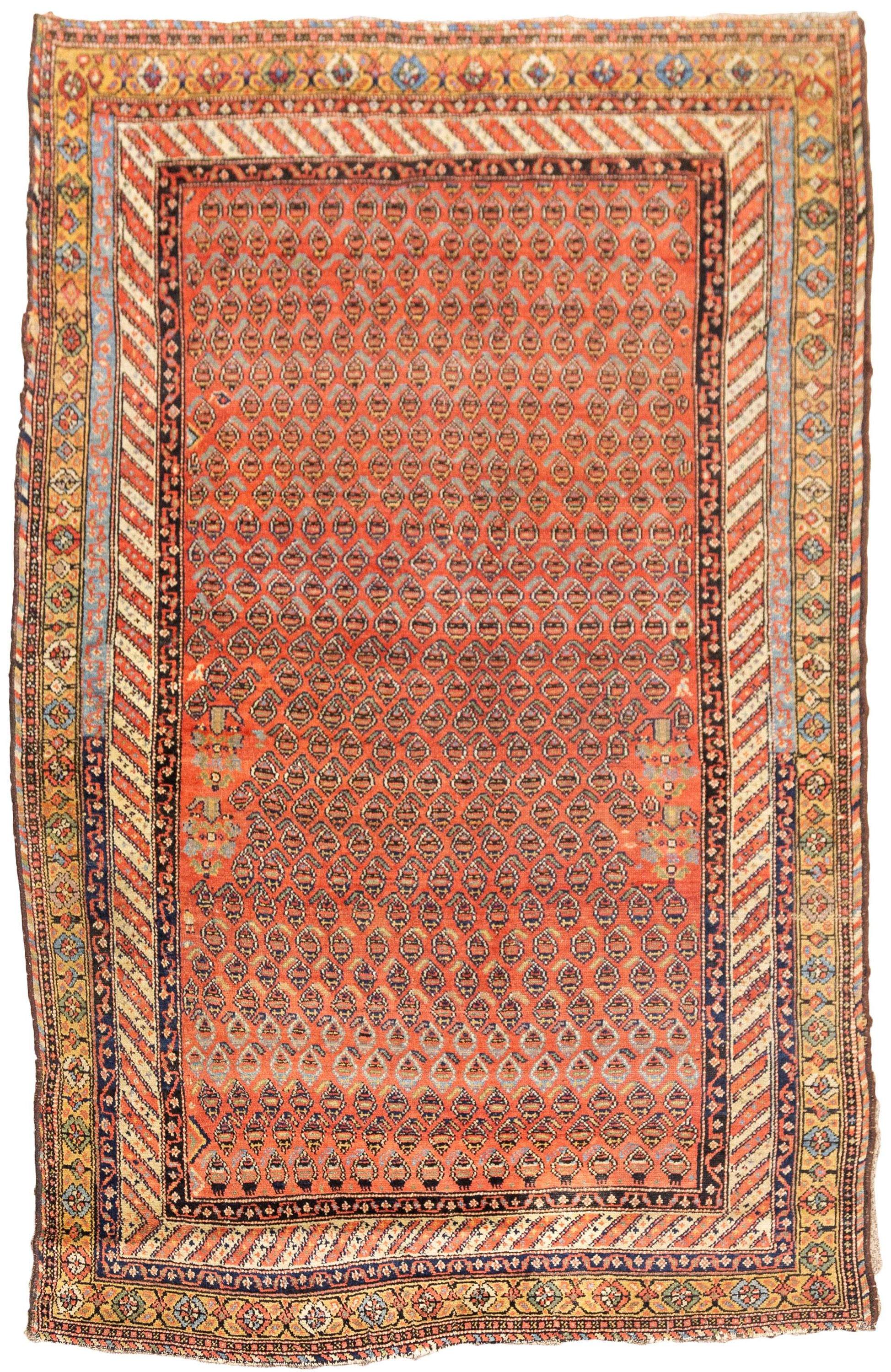 Occidental Rug Caucasian Oriental Rug | Cottone Auctions