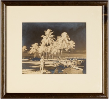 Photograuve of Tropical Landscape