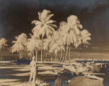 Photograuve of Tropical Landscape
