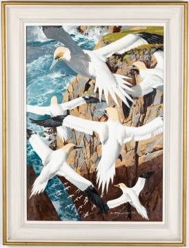 Keith Shackleton (British, 1923-2015) "Riding the Up-Draught Northern Gannets"