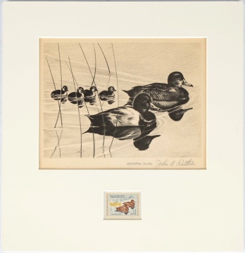 (5) Federal Duck Stamps & Lithographs