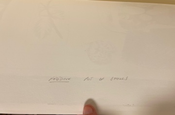 Mary Fedden R.A. (British, 1915-2012) "Pot of Shells" 1971