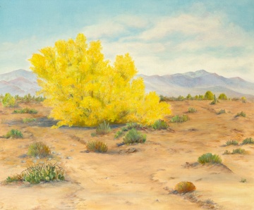 Lyn Durieu (American, 20th century) Southwest Desert Scene