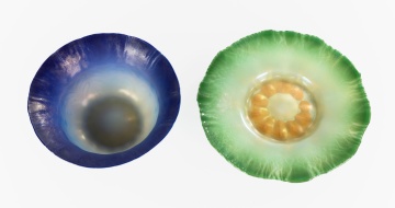 Tiffany Favrile Bowl and Dish with Engraved Butterfly