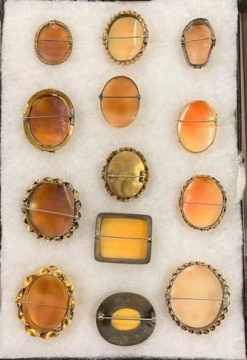 (13) 19th Century Shell Cameo Brooches