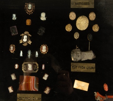 Display Case with Various Objects