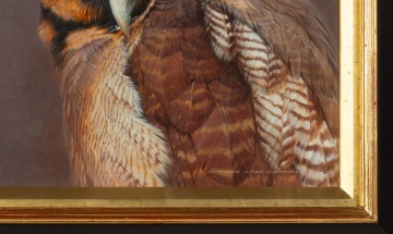 David Ord Kerr (British, b. 1952) "Brown Wood Owl"