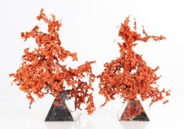 Two Red Coral Feng Sui Tree of Life Sculptures
