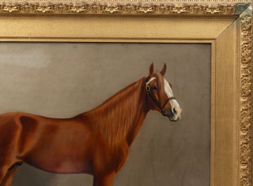 Alexander Pope (American, 1849-1924) Portrait of a Horse