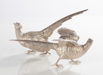 Silver Pheasants