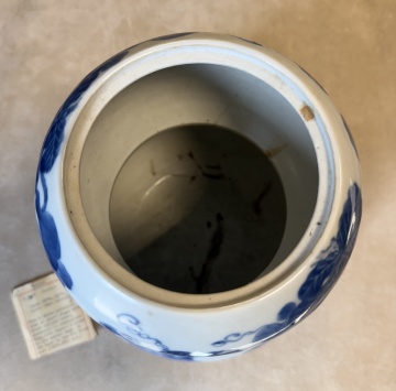 Chinese Blue & White Porcelain Ginger Jar & Double Gourd Vase