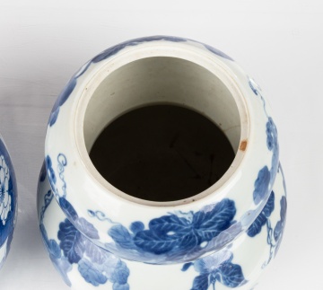 Chinese Blue & White Porcelain Ginger Jar & Double Gourd Vase