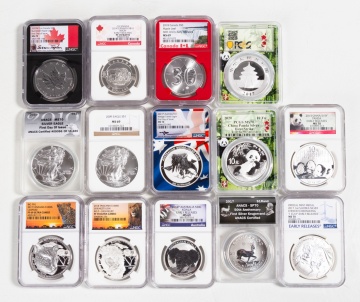 World Currency, Silver 1 oz. Coins