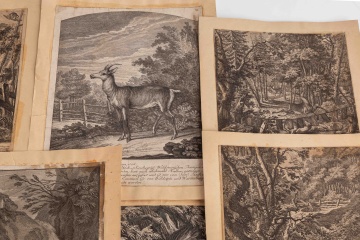 Johann Elias Ridinger (1698-1767) Engravings (from the Princes' Hunting Pleasure)