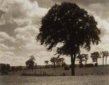 Milton Rogovin (American, 1909-2011) & Wilbur H. Porterfield (American, 1873-1958)