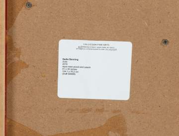 Sadie Benning (American, b. 1973) "Guts 2"