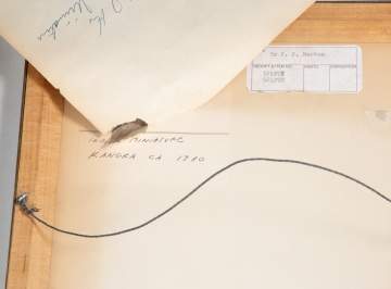 Indian Miniature Paintings