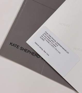 Kate Shepherd (American, b. 1961) Poser.Kate.blowing_bubblesbreastsB.s20 (first breast gray)