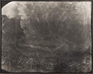 Sally Mann (American, b. 1951) Untitled (Antietam #18)