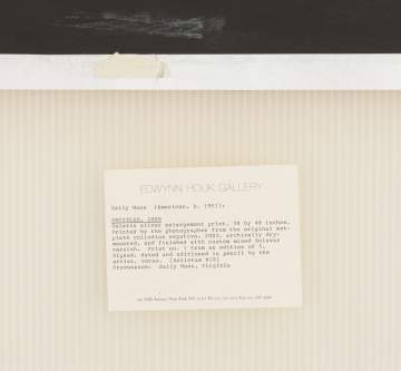 Sally Mann (American, b. 1951) Untitled (Antietam #18)