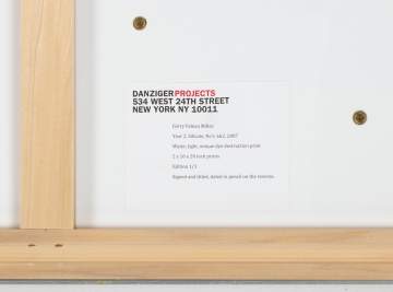 Garry Fabian Miller (British, b. 1957) "Year Two, Silicate 1-2"