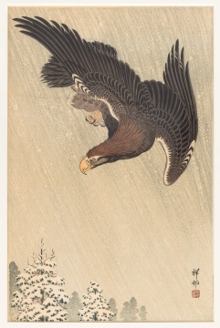 Japanese Literati, Lotus Flower Paintings & Woodblock Print