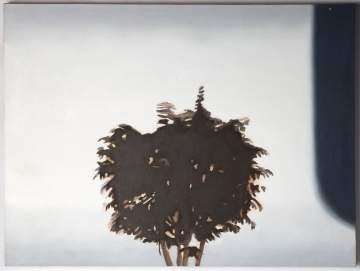 Blake Rayne (American, b. 1969) Untitled (Plant)