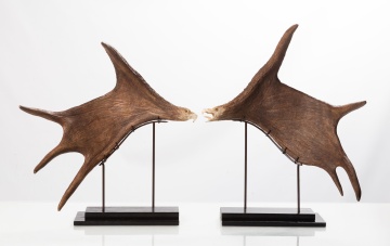 Stan Hill Jr. Moose Antler Eagles