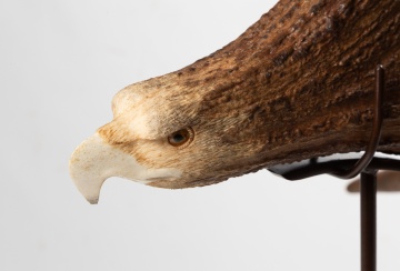 Stan Hill Jr. Moose Antler Eagles