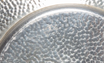 American Sterling Silver Footed Cups & Saucers