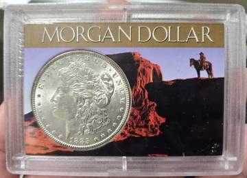 Morgan Silver Dollars