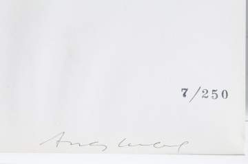 Andy Warhol (American, 1928-1987) Hot Dog Bean, from: Campbell's Soup II (F. & S. II.59)