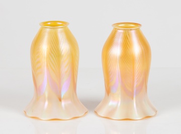 Pair of Quezal Pulled Feather Shades